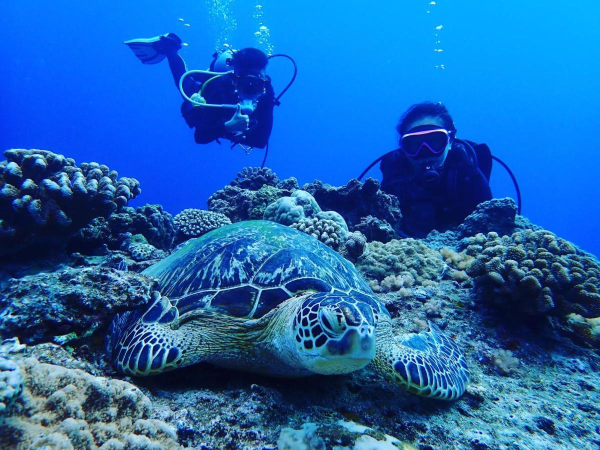 Green Island Good Sound ภายนอก รูปภาพ