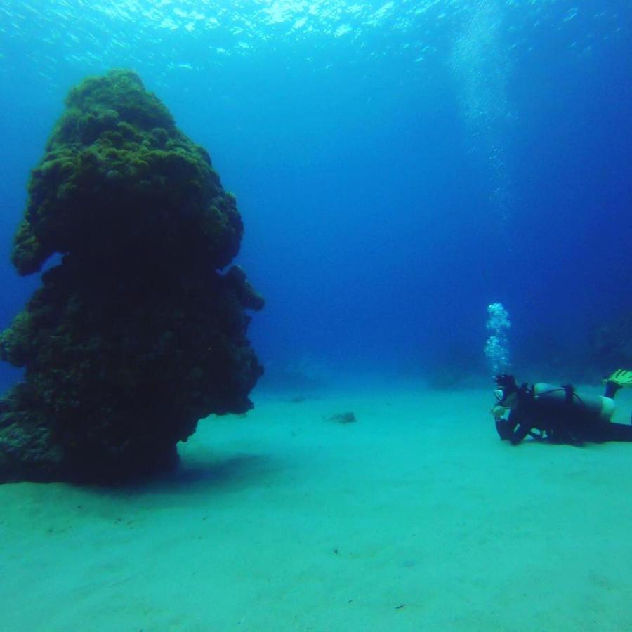 Green Island Good Sound ภายนอก รูปภาพ